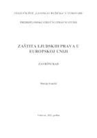 ZAŠTITA LJUDSKIH PRAVA U EUROPSKOJ UNIJI