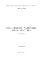 LOKALNI IZBORI - NA PRIMJERU GRADA VUKOVARA