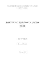 LOKALNA SAMOUPRAVA U OPĆINI BILJE