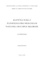 KLINIČKA SLIKA I PATOFIZIOLOŠKI MEHANIZAM NASTANKA MULTIPLE SKLEROZE